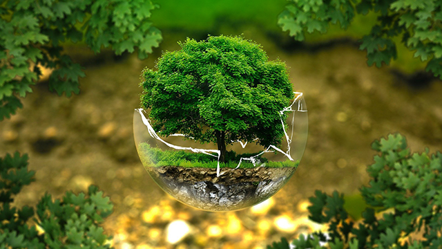 「環境」関連株式投資信託の純資産総額ランキング