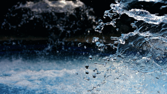 純資産1億円以上が2割！ 驚きの「やわ中」資産運用アンケート結果