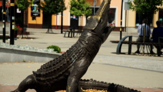 枠埋め1,000万円超が3割！驚異のやわ中NISA利用アンケート結果