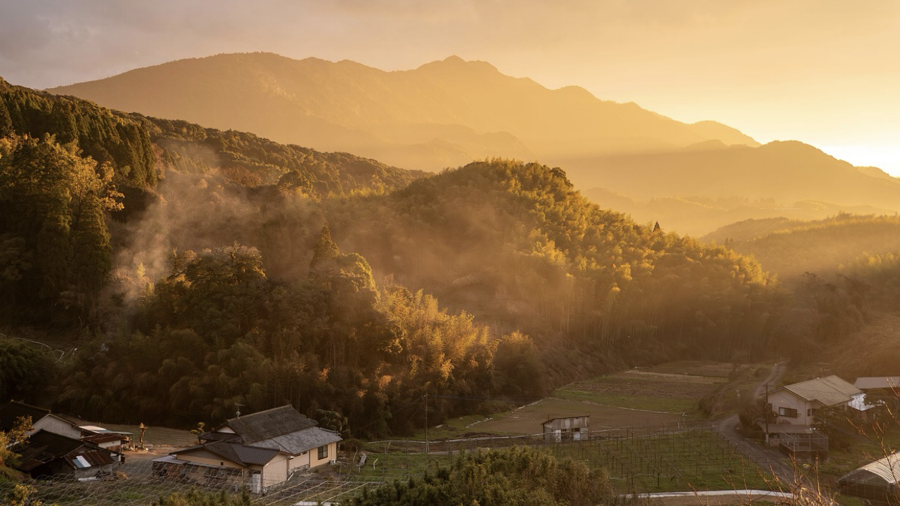 独身FIRE民が今後の住まいについて語る