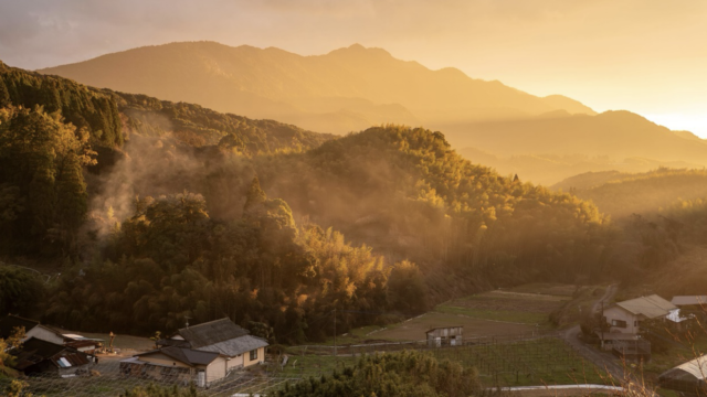 独身FIRE民が今後の住まいについて語る