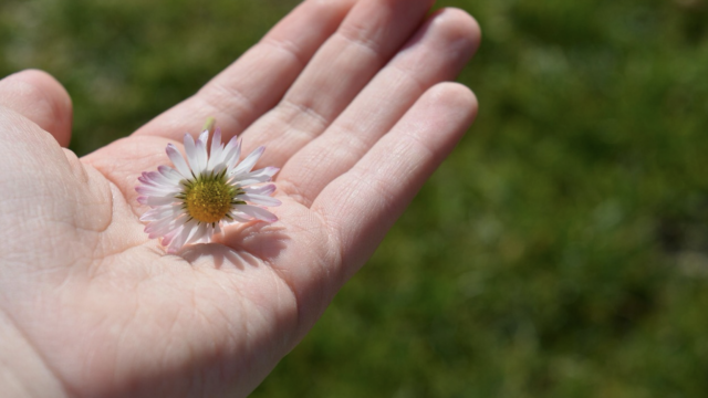 独身FIRE民が孤独との向き合い方を語る